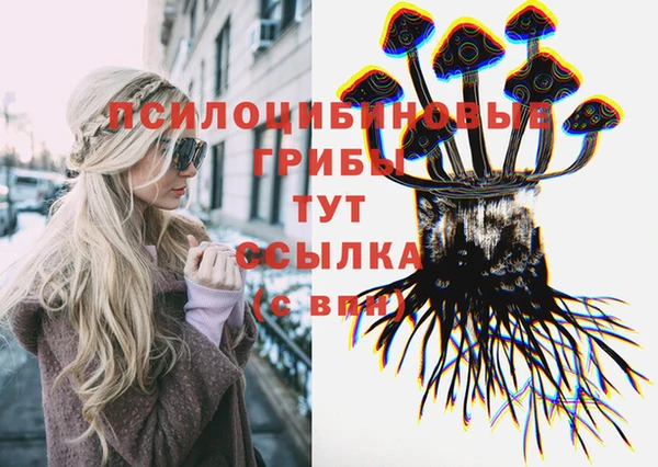 альфа пвп Беломорск