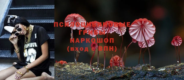 герыч Белокуриха