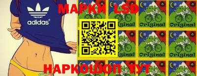 индика Будённовск