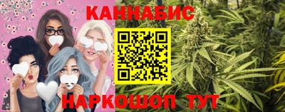 индика Будённовск