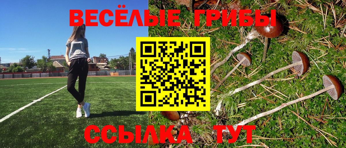 цена   Вход с VPN  Надым  Галлюциногенные грибы мицелий 