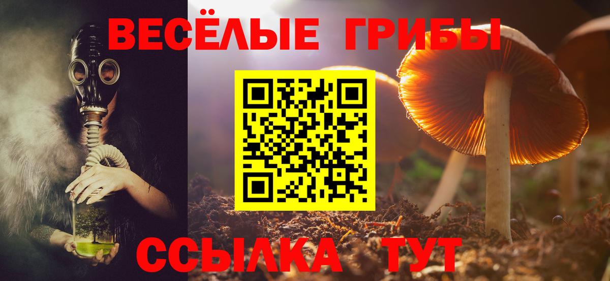 Галлюциногенные грибы прущие грибы Надым